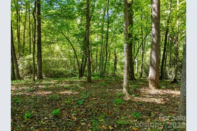644 Walnut Valley Parkway, Arden, NC 28704 - Photo 29