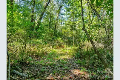 644 Walnut Valley Parkway, Arden, NC 28704 - Photo 33