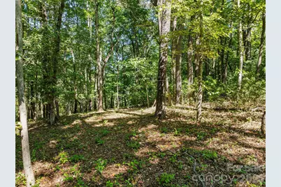 644 Walnut Valley Parkway, Arden, NC 28704 - Photo 25