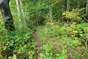 1061 Caldwell Dr, Maggie Valley, NC 28751 - Photo 35