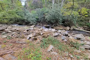 1061 Caldwell Dr, Maggie Valley, NC 28751 - Photo 5
