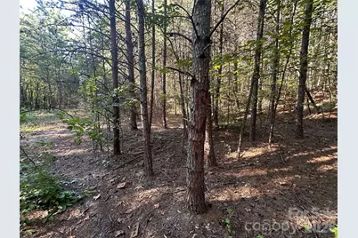 86 Sunrise Trail, Lincolnton, NC 28092 - Photo 11