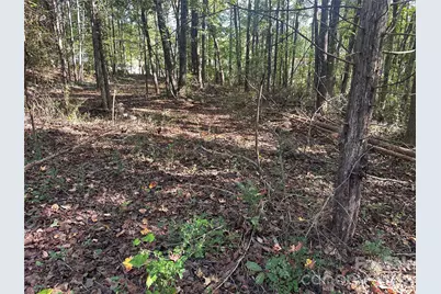 86 Sunrise Trail, Lincolnton, NC 28092 - Photo 3