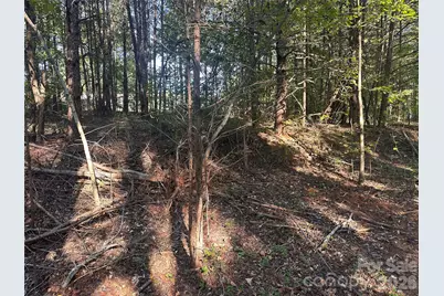 86 Sunrise Trail, Lincolnton, NC 28092 - Photo 5