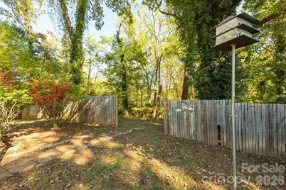163 Carrier Street, Asheville, NC 28806 - Photo 39