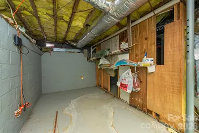 163 Carrier Street, Asheville, NC 28806 - Photo 29