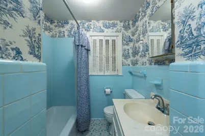 163 Carrier Street, Asheville, NC 28806 - Photo 19