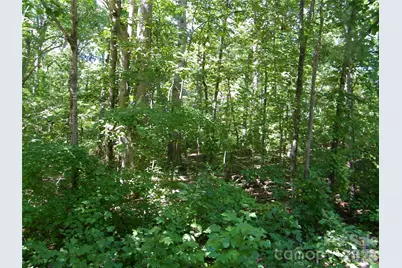 113 Chippewa Trail, China Grove, NC 28023 - Photo 1