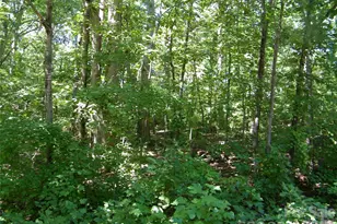 113 Chippewa Trail, China Grove, NC 28023 - Photo 1