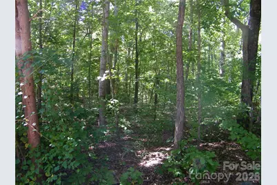 113 Chippewa Trail, China Grove, NC 28023 - Photo 3