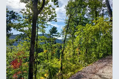99999 Vance Gap Road, Asheville, NC 28804 - Photo 11