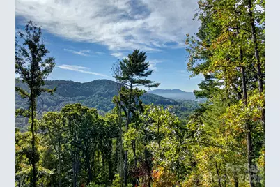 99999 Vance Gap Road, Asheville, NC 28804 - Photo 17
