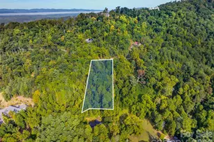 99999 Vance Gap Rd, Asheville, NC 28804 - Photo 1