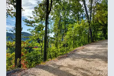 99999 Vance Gap Road, Asheville, NC 28804 - Photo 13