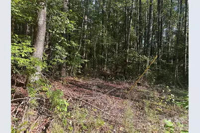 81 Meandering Lane, Lincolnton, NC 28092 - Photo 7