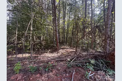 81 Meandering Lane, Lincolnton, NC 28092 - Photo 13