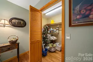28 Froggy Bottom Trail, Canton, NC 28716 - Photo 33