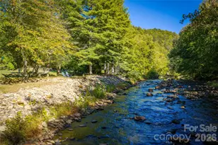 28 Froggy Bottom Trail, Canton, NC 28716 - Photo 39