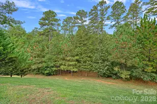 1869 Still Water Ln, Indian Land, SC 29707 - Photo 41