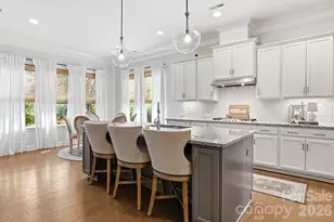 10079 Fox Trotter Ln, Midland, NC 28107 - Photo 9