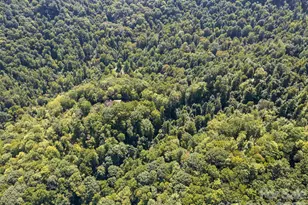 10435 White Oak Rd, Waynesville, NC 28785 - Photo 35