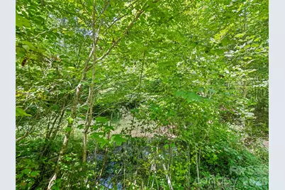 10435 White Oak Road, Waynesville, NC 28785 - Photo 39
