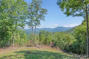 10435 White Oak Rd, Waynesville, NC 28785 - Photo 11