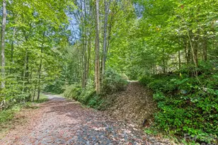 10435 White Oak Rd, Waynesville, NC 28785 - Photo 47