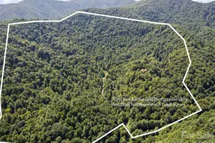 10435 White Oak Rd, Waynesville, NC 28785 - Photo 33
