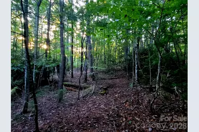 0 Joyful Lane, Hendersonville, NC 28791 - Photo 11
