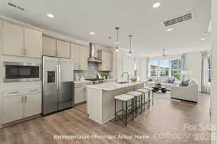 2107 Bonner Bridge Ct, Charlotte, NC 28273 - Photo 21