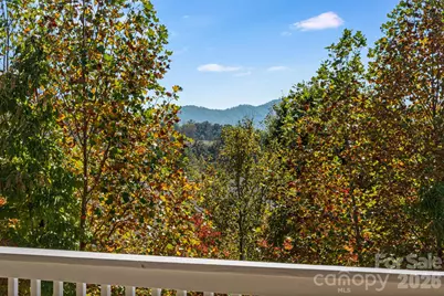 76 Rose Creek Road, Leicester, NC 28748 - Photo 31