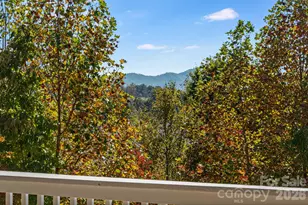76 Rose Creek Rd, Leicester, NC 28748 - Photo 31