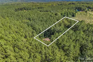 168 Chasewood Dr, Rutherfordton, NC 28139 - Photo 37