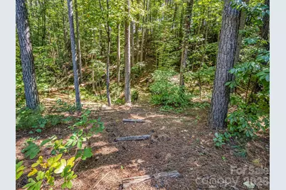 168 Chasewood Drive, Rutherfordton, NC 28139 - Photo 35