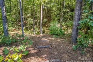 168 Chasewood Dr, Rutherfordton, NC 28139 - Photo 35