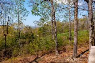 39 Tatham Rd, Hendersonville, NC 28792 - Photo 35