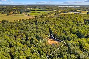 127 Katie Ln, Statesville, NC 28625 - Photo 47