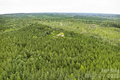 311 Green Road, Ellerbe, NC 28338 - Photo 9