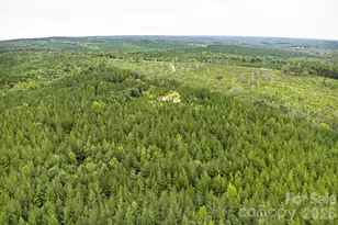 311 Green Rd, Ellerbe, NC 28338 - Photo 9