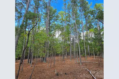 1350 McKnight Road, Smyrna, SC 29743 - Photo 31