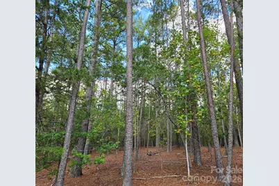 1350 McKnight Road, Smyrna, SC 29743 - Photo 33