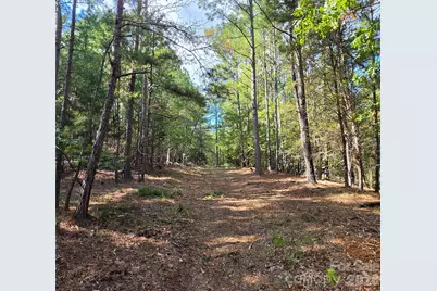 1350 McKnight Road, Smyrna, SC 29743 - Photo 41