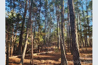 1350 McKnight Road, Smyrna, SC 29743 - Photo 19