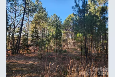 1350 McKnight Road, Smyrna, SC 29743 - Photo 21