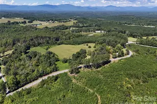 2125 Whiteside Rd, Mill Spring, NC 28756 - Photo 5