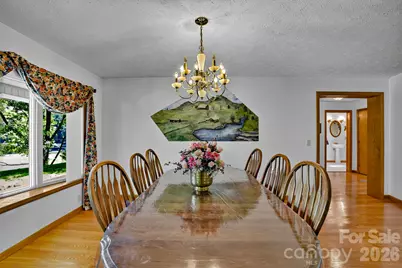 1145 Coleman Mountain Road, Waynesville, NC 28785 - Photo 17