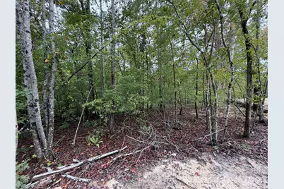 V/L W V Thompson Road, Rutherfordton, NC 28139 - Photo 1