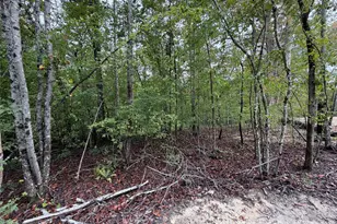 V/L W V Thompson Rd, Rutherfordton, NC 28139 - Photo 1