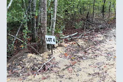V/L W V Thompson Road, Rutherfordton, NC 28139 - Photo 17